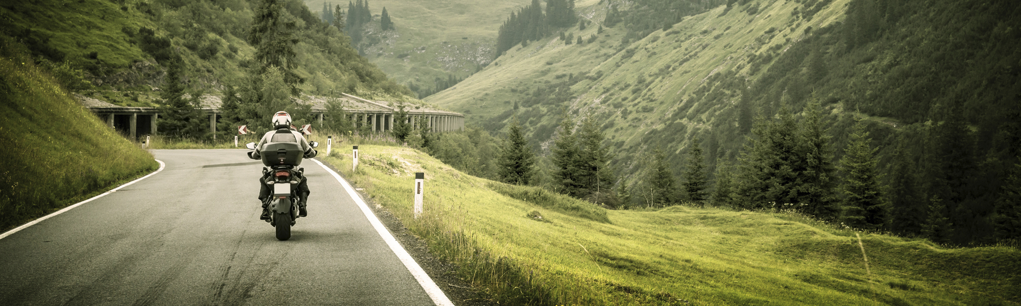 קורסי חיתום כללי / אלמנטארי